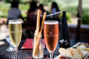 法甲联赛，从1955年到现在的举办年份全解析历届法甲联赛是哪一年举办的