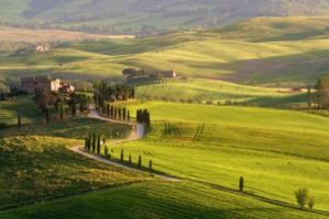 2023-2024赛季青岛篮球联赛最新消息，精彩赛事即将上演青岛篮球联赛最新消息今天